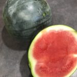 IMG_0563