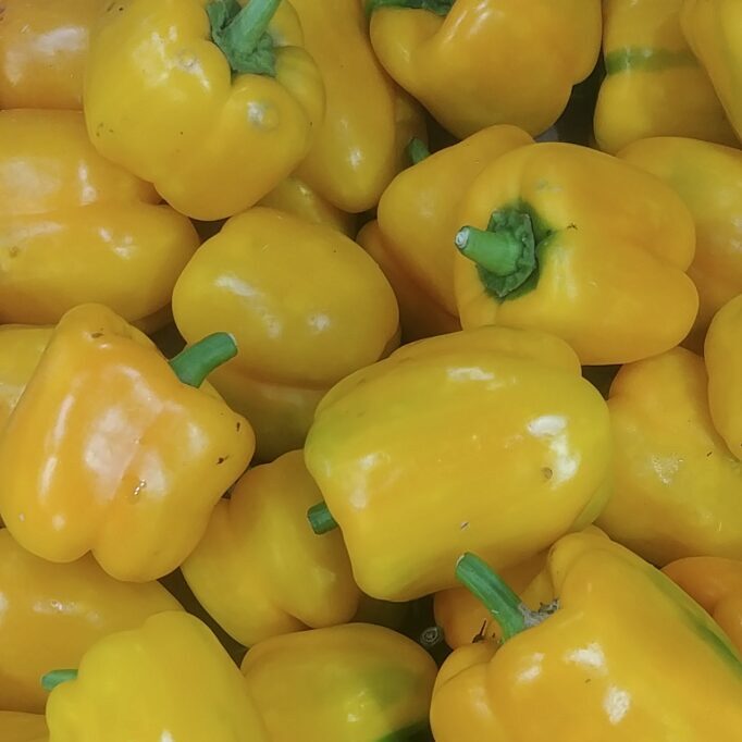 POIVRONS JAUNES BIO (Offre de la semaine -10%)