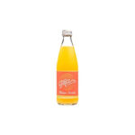 kombucha-mangue-curcuma-bio-75cl