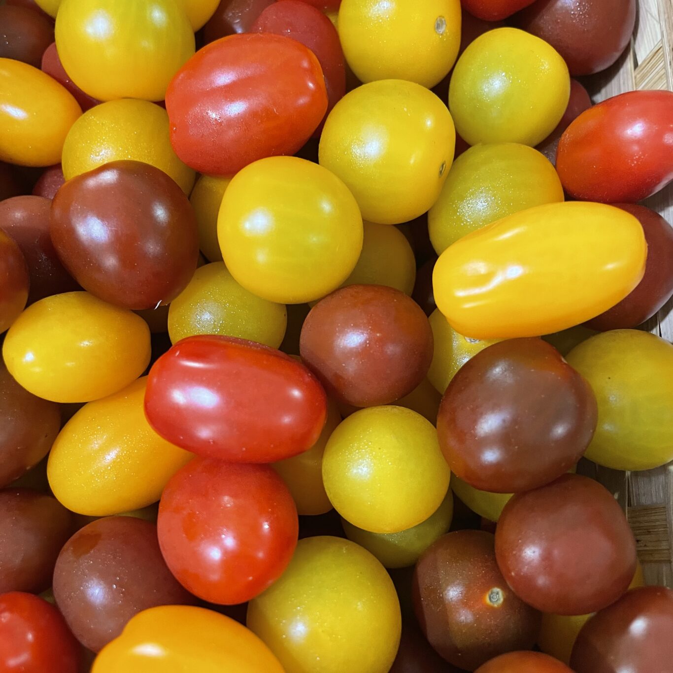 TOMATES Cerises BIO (Offre de la semaine -10%)