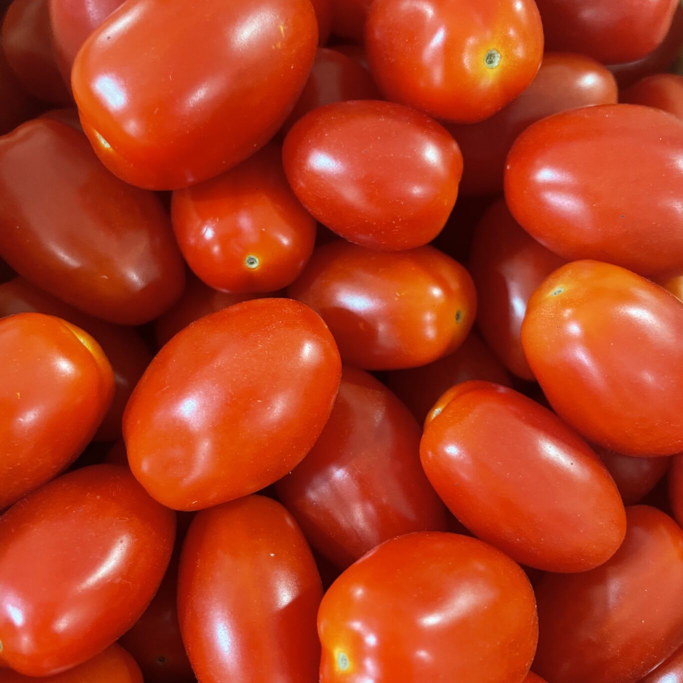 TOMATES Cerises Allongées BIO (Offre de la semaine -10%)