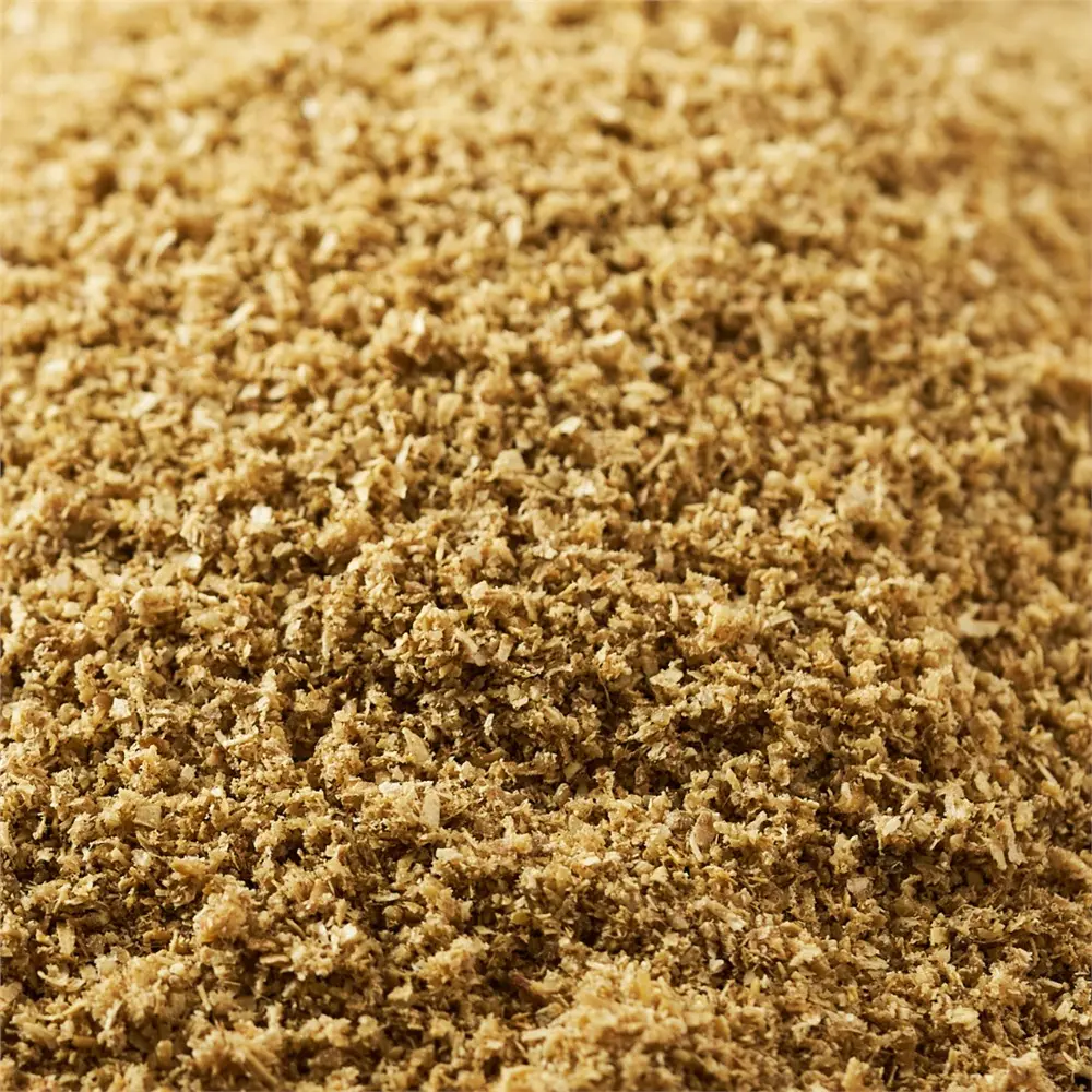 CORIANDRE EN POUDRE BIO