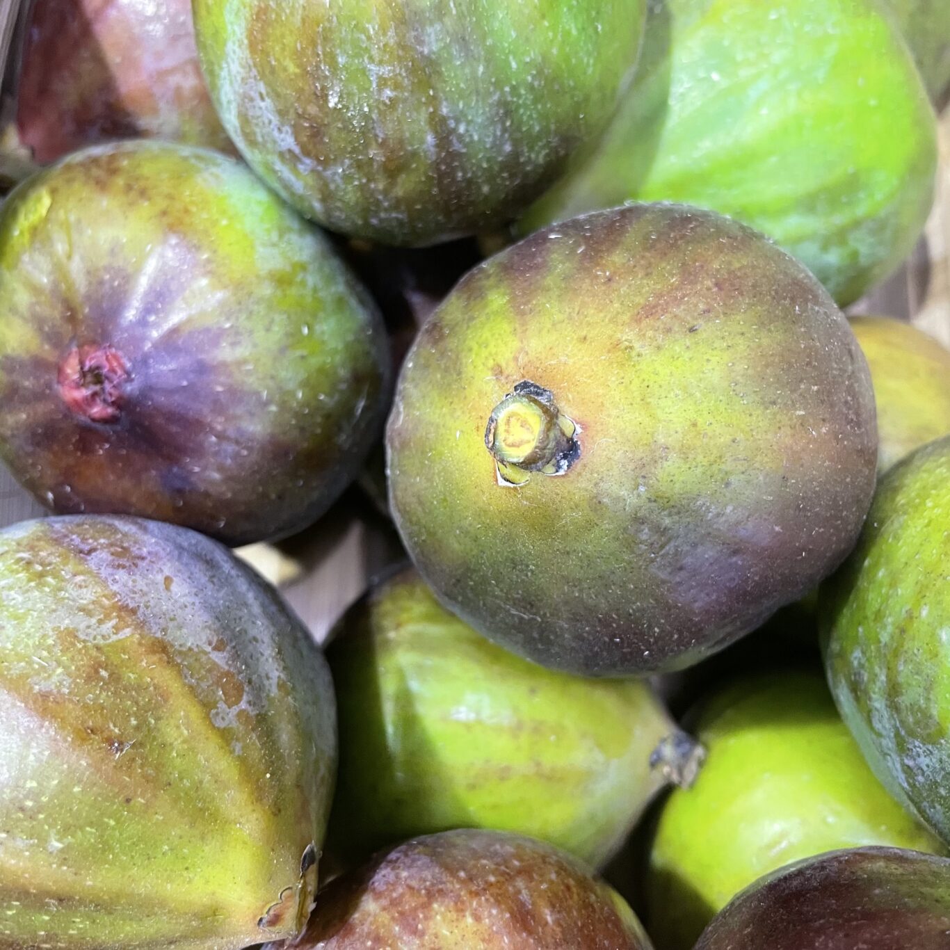 FIGUES FRAICHES Grise de Tarascon BIO (offre de la semaine -10%)